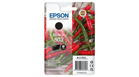 Epson Singlepack Black 503 Ink